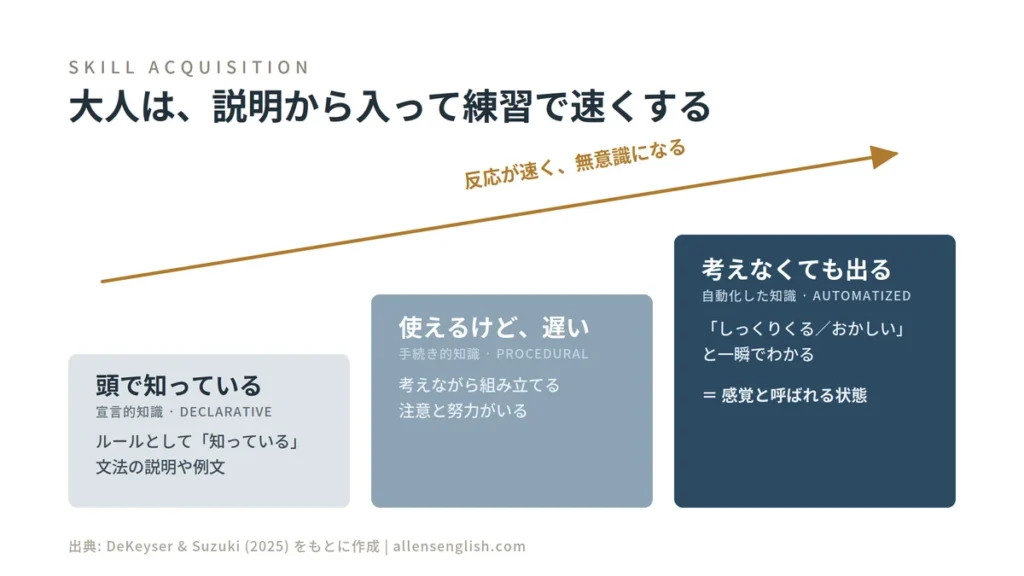 大人が英語を学ぶときの三つの段階を示した図。頭で知っているだけの段階から、使えるけれど遅い段階へ、そして考えなくても出てくる段階へと進む流れ。